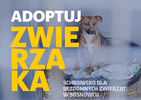 baner główny